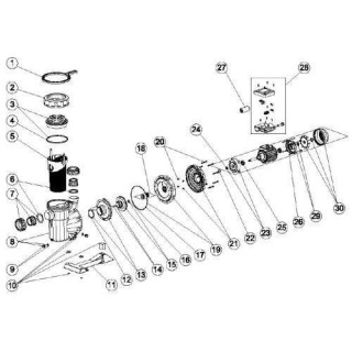 Conjunto cojinetes para bomba Sena 1 CV Astralpool. 4405010135