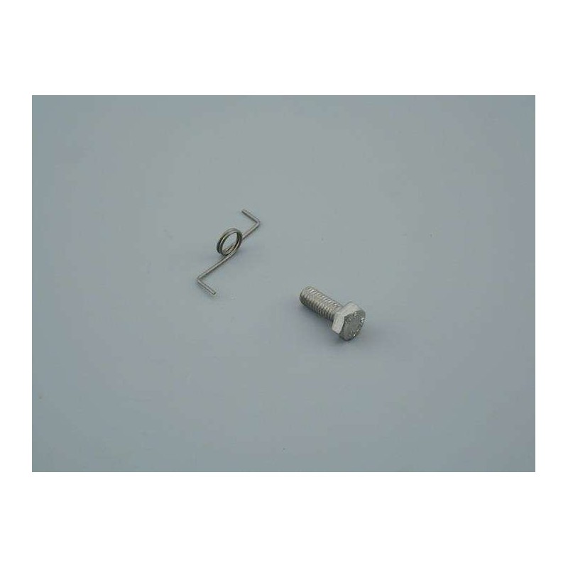 Muelle gatillo y tornillo Astralpool. 4401090906