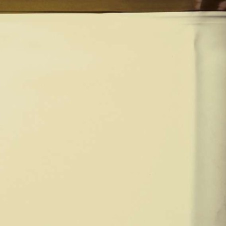 Liner beige piscina madera Cannelle 551 x 351 x 119 Gre. 786215